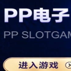 pp电子